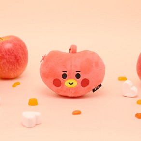 BT21 코인 케이스