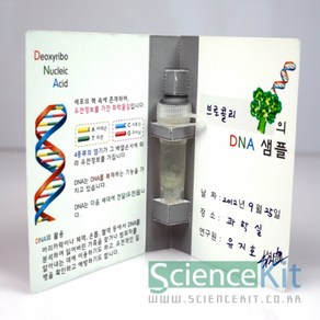 식물세포 만들기 DNA추출 4인세트 샘플북, 본상품, 본상품