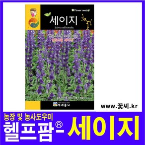 헬프팜 세이지 50립 세계종묘 꽃씨 종자 씨앗, 1개