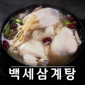 백세삼계탕 8팩, 8개, 1kg