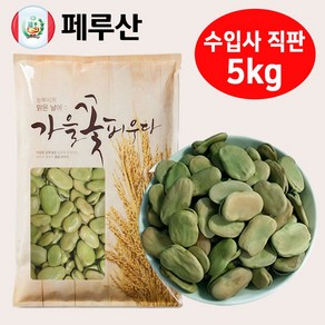 페루 자이언트 파바빈 콩 원물 항공직수 페루산 자이언트 파바빈콩, 1개, 5kg