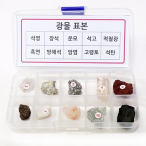 광물표본 10종, 1개