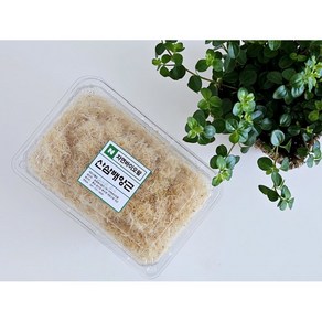 산삼배양근생채 400g, 1개