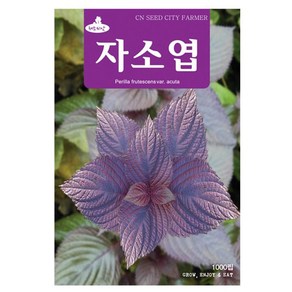 자소엽 씨앗 자소씨 1000립, 27_자소엽(1000립), 1개