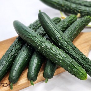 [울팜] 국내산 가시오이 청오이 생식용, 1개, 가시오이_1kg