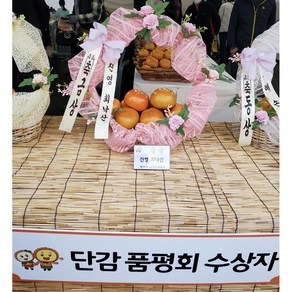 진영단감축제 금상 단감 부유 아삭아삭 제철 감, 1박스