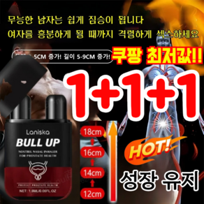 1+1+1 남성용 비강 흡입기 bull up 비강흡입기 전투력 강화된 남성용 비강 흡입기, (3+3+3)1.8ml*9개, 9개