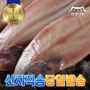 [특가할인] 군산 박대 서대 구이용 조림용 해풍건조 명품 제수용 말린 반건조생선