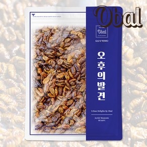 오발 냉동번데기1Kg, 1kg, 1개