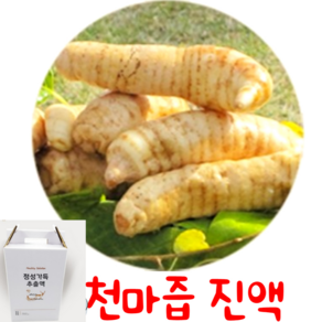 내몸에 자연가득 천마 즙 진액 액기스 무주 천마 100% 30포 60포, 60개, 100ml