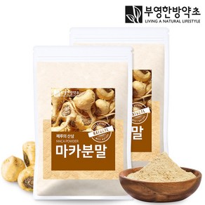 부영한방약초 마카 분말 가루 페루산 maca