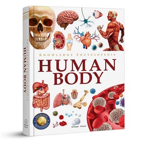 Knowledge Encyclopedia: Human Body (Knowledge Encyclopedia Fo Childen)