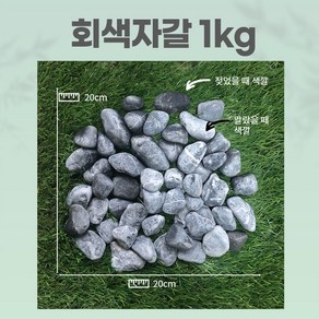 신포상점 화분돌 어항돌 조약돌 마당 화단 정원 베란다 자갈 예쁜 돌멩이 1kg, 1개