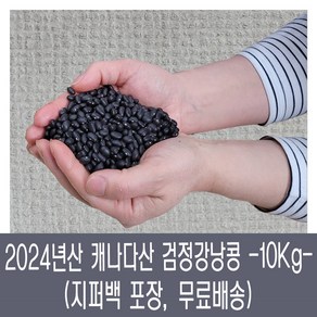 [다온농산] 수입 캐나다산 검정강낭콩 -10Kg- 지퍼백, 1개