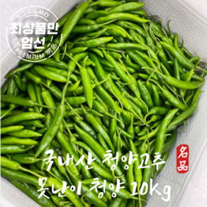 국내산 청양고추 매운 고추 못난이 청양 업소용, 1개, 10kg