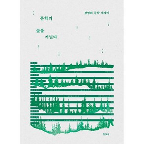 문학의 숲을 거닐다 (장영희 문학 에세이) 개정판