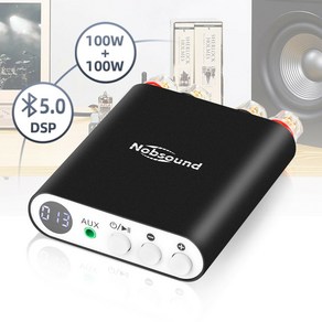 Nobsound TA-21 100W+100W 미니 블루투스 5.0 DSP 디지털 앰프