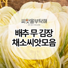 씨앗을 부탁해 배추/무 김장채소 씨앗 모음 (가을동화/베타/고향/불암/천고마비/황금/금봉무/과일무/갓/엇갈이), 1개