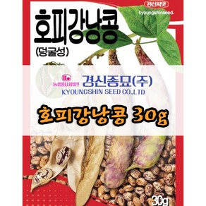 호랑이콩 씨앗 호피 강낭콩 종자 30g 당일발송 경신종묘, 1개