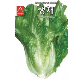 사계절 재배용 생채 씨앗(1500립) (A0309), 1개