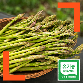 파머스넷 해남 산지직송 유기농 생 아스파라거스, 300g, 1개, 프리미엄