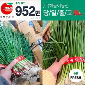 <해돋이농산>국내산 쪽파 흙쪽파 1단, 1개