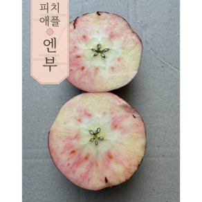 [신품종] 고당도 프리미엄 피치애플 엔부사과 정품, 1박스, 1kg (3과 내외)