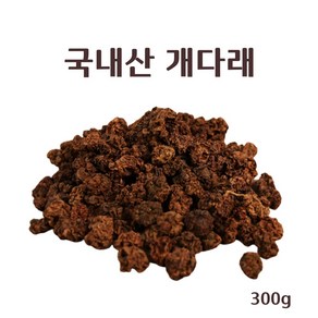 국내산 개다래 충영 충령 충녕 말린 건조 개다래열매 목천료 말다래 원물 차 국산 100%