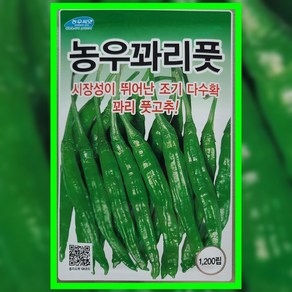 농우꽈리풋 꽈리고추씨앗 1200립 꽈리고추씨 종자, 1개