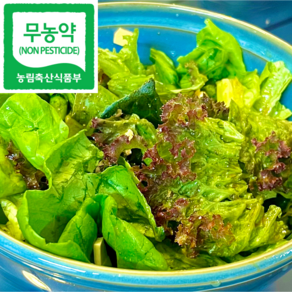 무농약 아쿠아포닉스 유러피안 샐러드 채소, (R)ich 무농약 유러피안 모듬 1kg, 1박스, 1kg