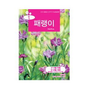 (CN) 패랭이 씨앗 (1500립), 1개