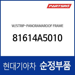 웨더스트립(고무 씰)-순정 파노라마 선루프 프레임 (81614A5010) i30 GD