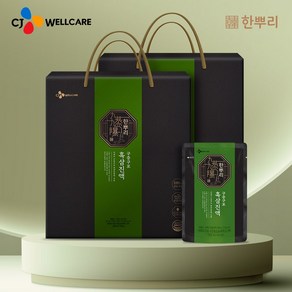 CJ웰케어 한뿌리 흑삼진액 40ML 구증구포 24입 1박스 총2박스 흑삼, 48개, 960ml