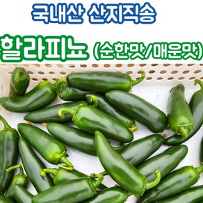 국내산 할라피뇨고추 퍼펙토고추 1kg 2kg 3kg 5kg 10kg, 할라피뇨고추 1kg, 매운맛, 1개