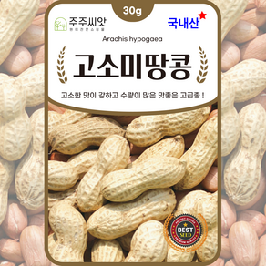 땅콩씨앗 30g 고소미땅콩 종자 씨 채소씨앗