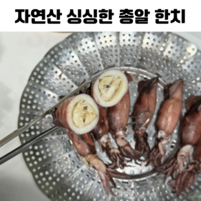 자연산 급냉 총알 한치 찜용, 1박스, 1kg