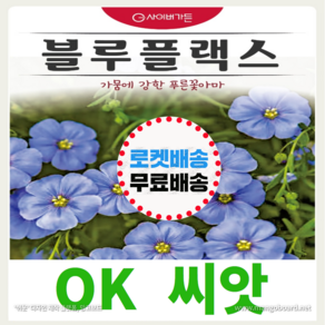 [OK씨앗] [블루플랙스] 아마꽃씨앗 종자(오케이씨앗)