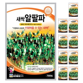 새싹알팔파 씨앗 7000립 새싹씨앗 세계종묘 모칸도, 10개