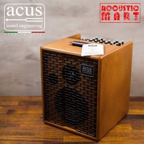 어쿠스 어커스 ACUS Oneforstrings 6T Wood 앰프