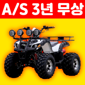 파워트랙 250cc 고출력 ATV 사발이 버기카 산악 오토바이 농장 과수원 시골 귀농, 200cc, 10인치