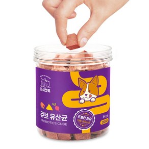 마시캣독 큐브 강아지 유산균 50g 1개 변비 면역력 생 플로린 포스트바이오틱스