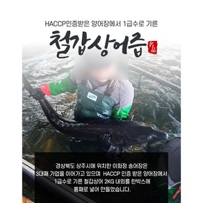 1급수에서 기른 이화정 철갑상어 진액 15포/30포/60포, 15포(1박스), 1개, 3L