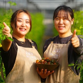 흑 대추방울토마토 1kg 2kg