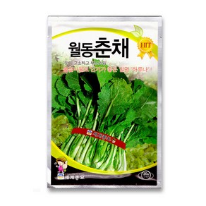 모칸도 세계 월동춘재 20g, 1개