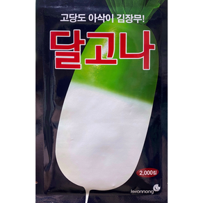 권농종묘 달고나무씨앗2000립 가을김장무배추종자