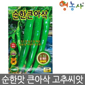 순한큰 아삭 고추 씨앗 100립 영농사, 1개