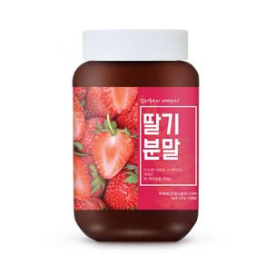 건강스토리 국내산 딸기 분말, 200g, 1개