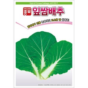 [모종심는아빠] 잎따내기 전용 농록색의 고소한 맛 쌈배추 잎쌈배추 500립