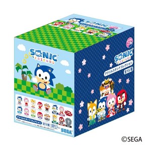 세가페이브SEGA Fave SONIC FRIENDS 아크릴 스탠드 어소트먼트 BOX 1BOX = 15개입 총 15종, 15개