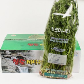 아삭아삭 국내산 청정무공해 청도 한재미나리, 1박스, 1kg